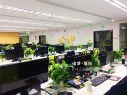 深圳金瑞龍彩繪涂鴉【東莞墻繪】