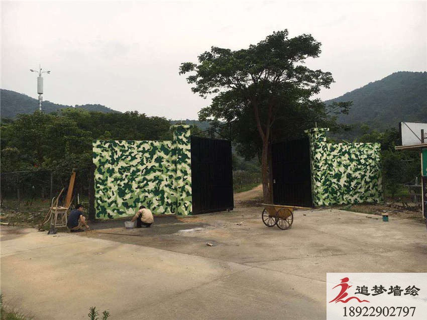 從化英豪學(xué)校迷彩